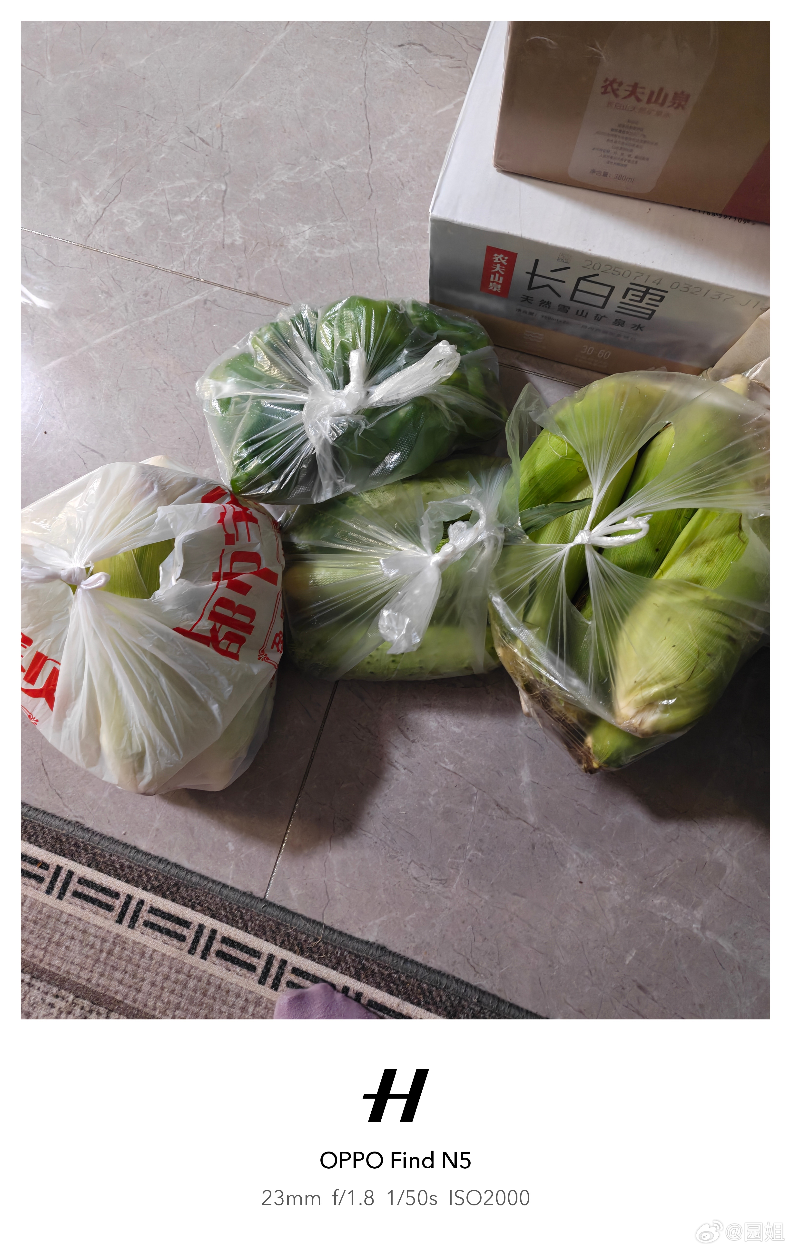 又到了东北相互分享豆橛子，黄瓜和玉米的季节了 ​​​