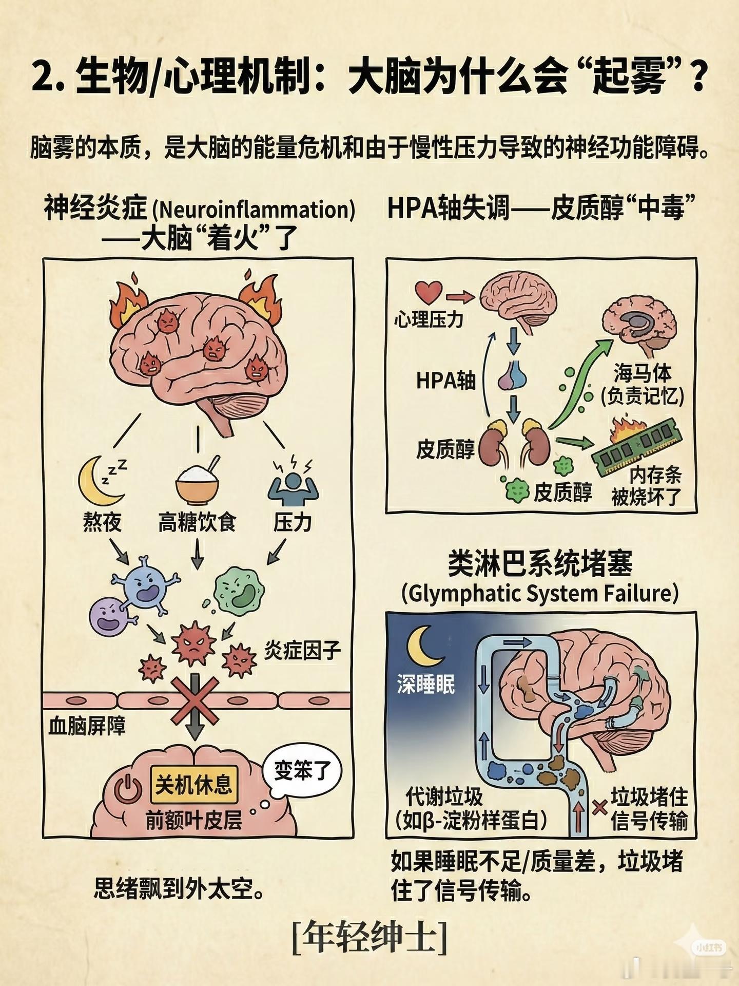 我刚才要做什么来着？这是脑雾症状。血糖稳定，情绪稳定，睡眠稳定，运动稳定。感恩良