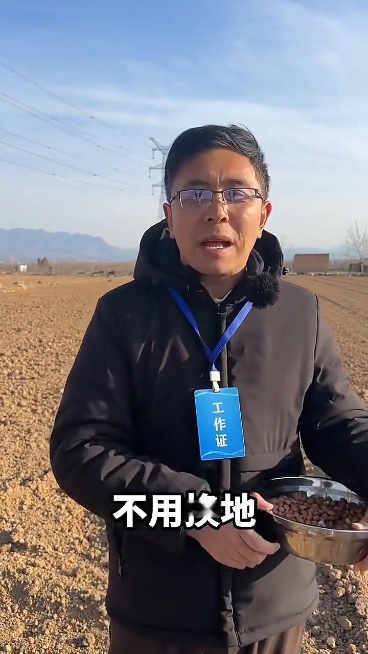花生重茬死棵烂苗严重，提前撒一撒。
只要你在花生整地上底肥的时候悄悄的撒上一把它