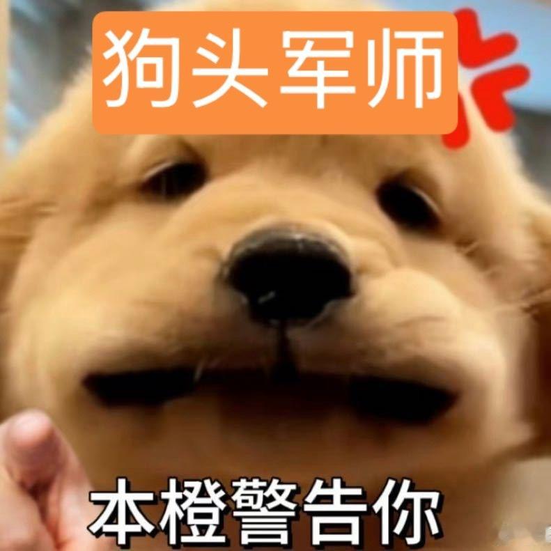 谁家的狗头军师快领走 