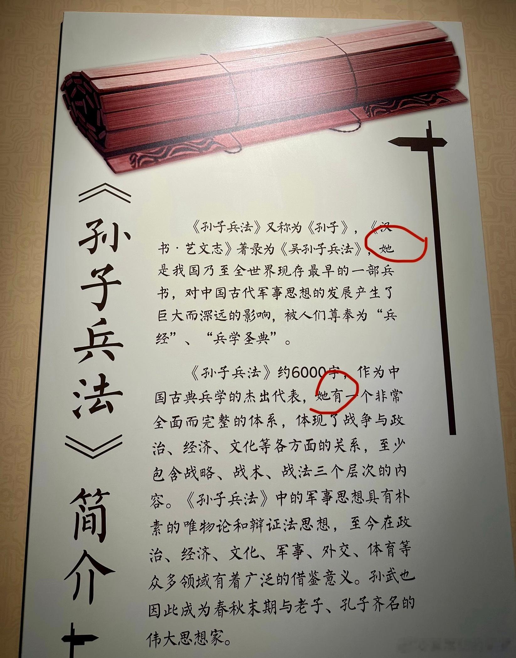 跟商榷，作为著作介绍，是不是用“它”更合适？滨州文旅 ​​​