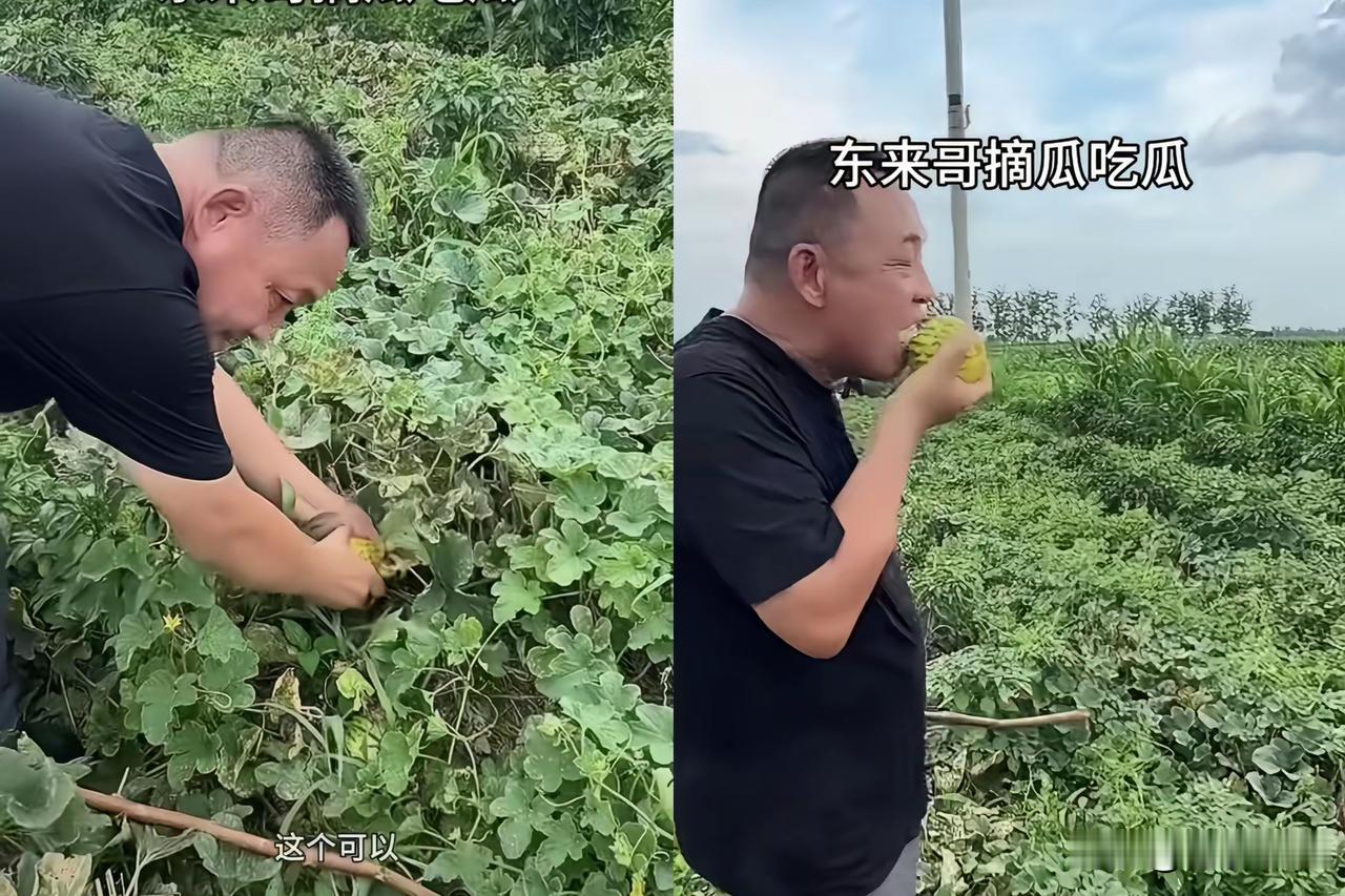 瓜农报5毛一斤，还想给优惠。
于东来摆摆手，说给1块。
定5000斤，运费还全包