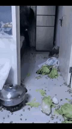 真的看完心里火气一下子就涌上来了！
刷到这件事我心里格外不是滋味。乡下老母亲倒了