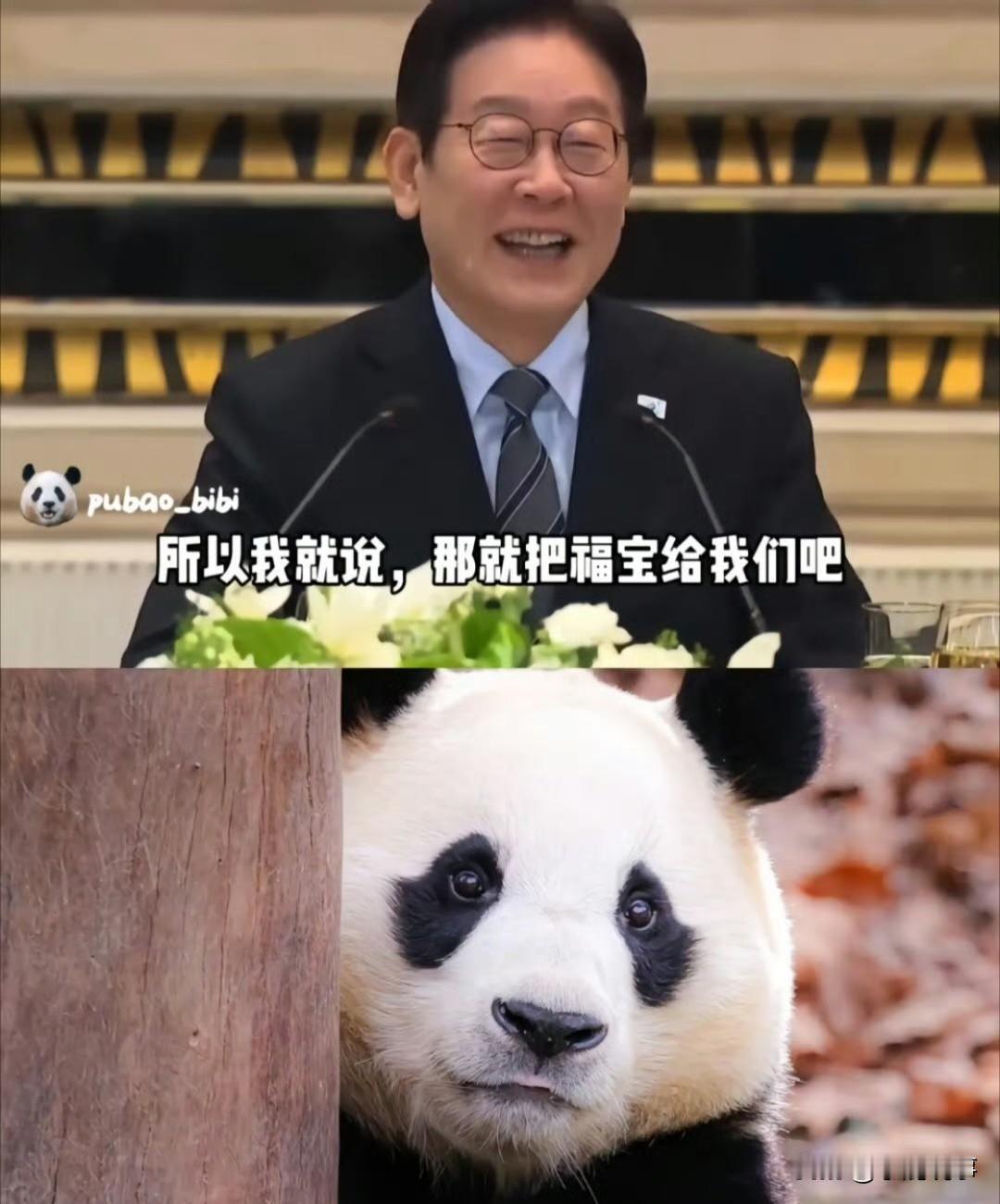 李在明这趟来，正事没怎么提，
开口先问能不能再给一对熊猫。而且点名不要放首尔，想