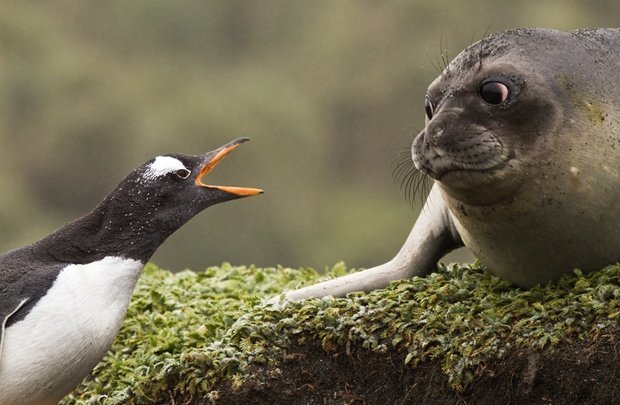 Why are u yelling so freaking LOUDLYmeme