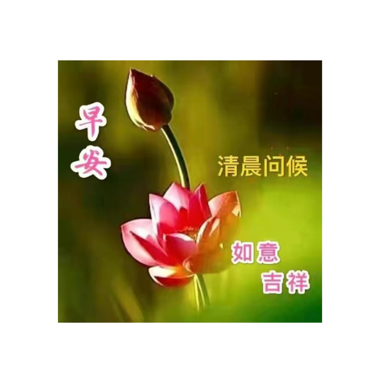 早上好啊，昨晚不到十二点就睡了，早睡早起的感觉真好，很精神，今天又是可以很猛的一
