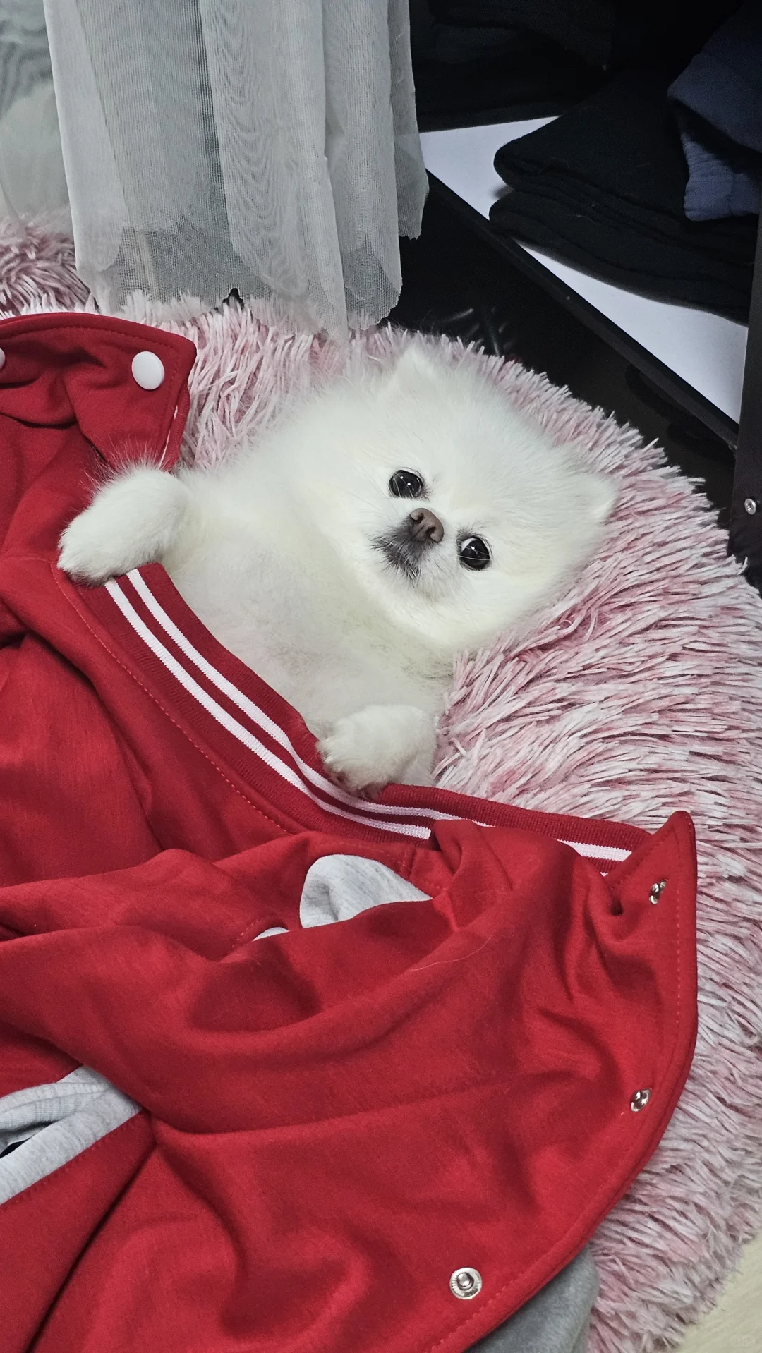 晚安EE们我要睡美容觉了