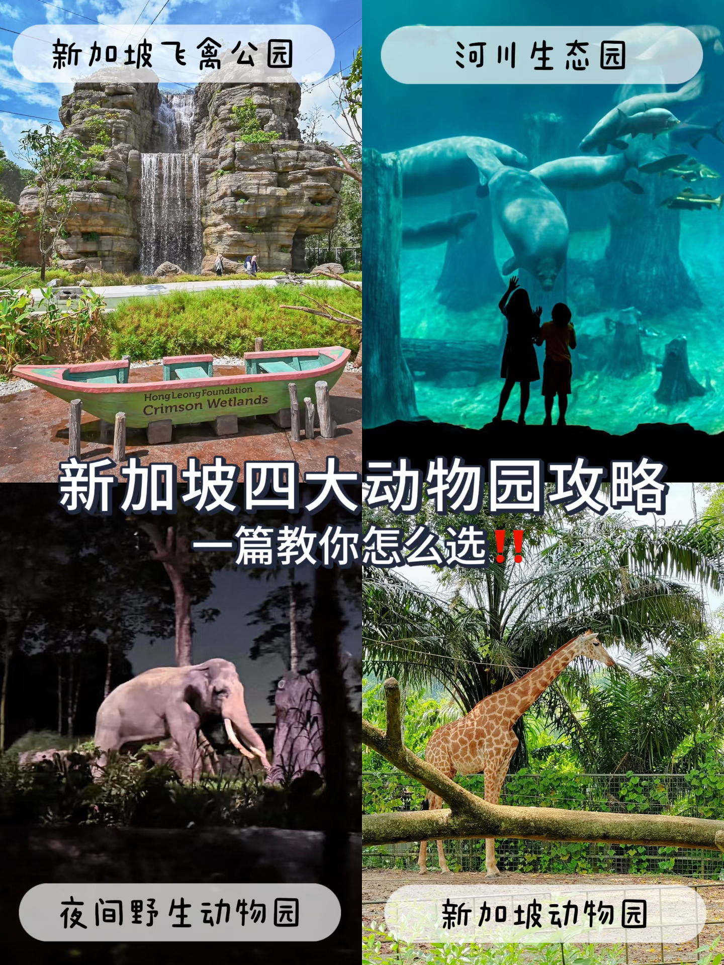 新加坡这四个动物园真是把我拿捏住了…
