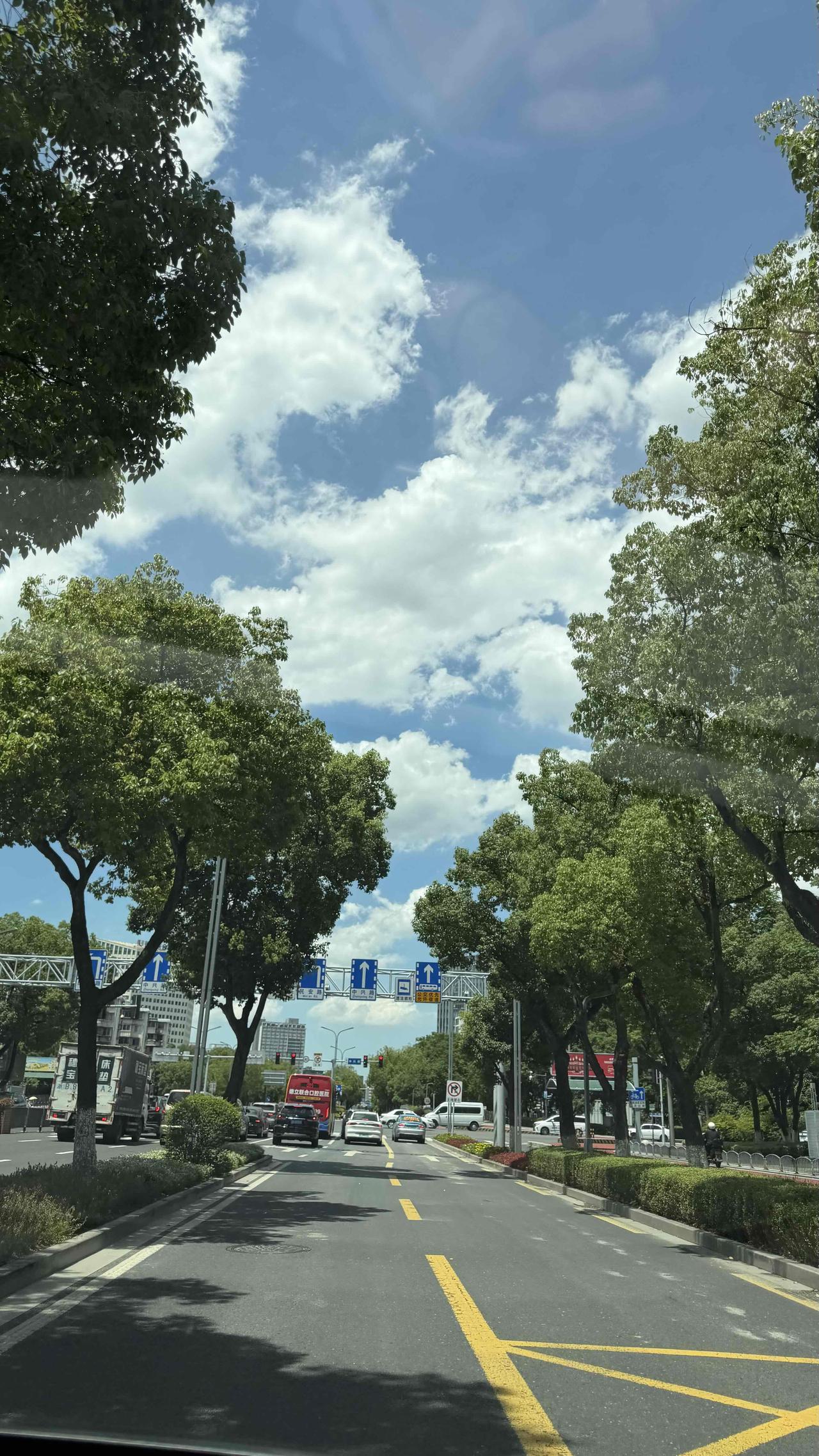 夏日随手拍昨天刚小暑，今天就感觉热的不行了。宁波这天是闷、湿热。一动就是一身汗，
