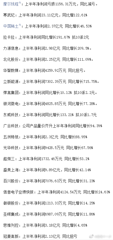 0810半年报 