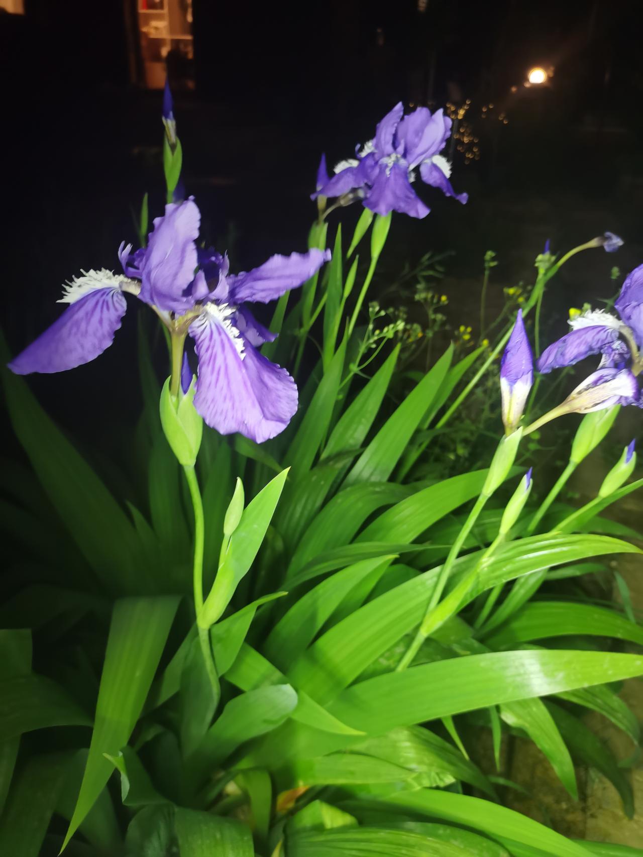 为什么我那么努力了，还是很穷？有人问我。

  是啊，我也有此问题。

  拉车