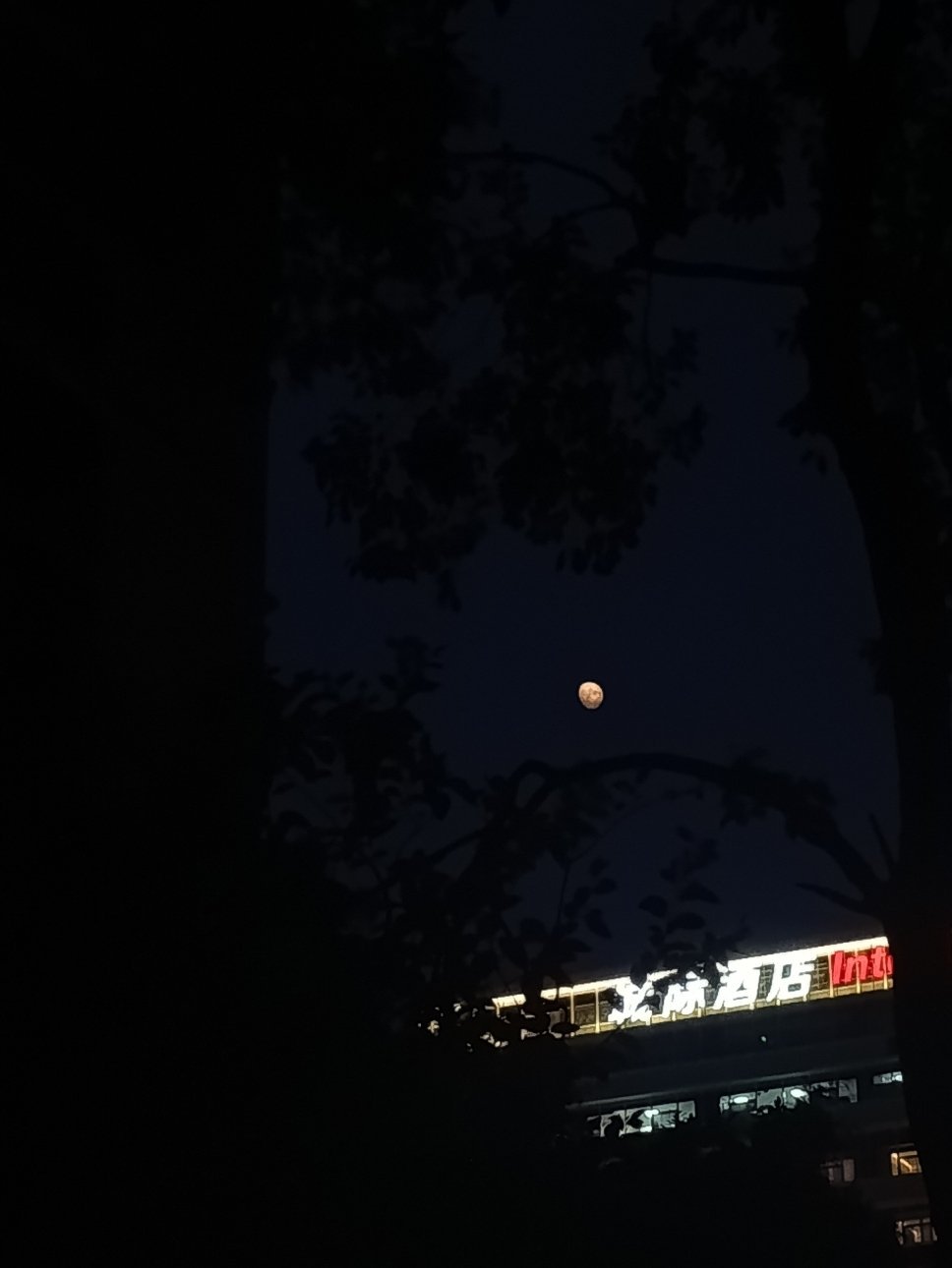 丁程鑫 廿四星月筑桥赴鑫河情人节快乐，🌧️下雨的成都我以为今天没有星星月亮，结
