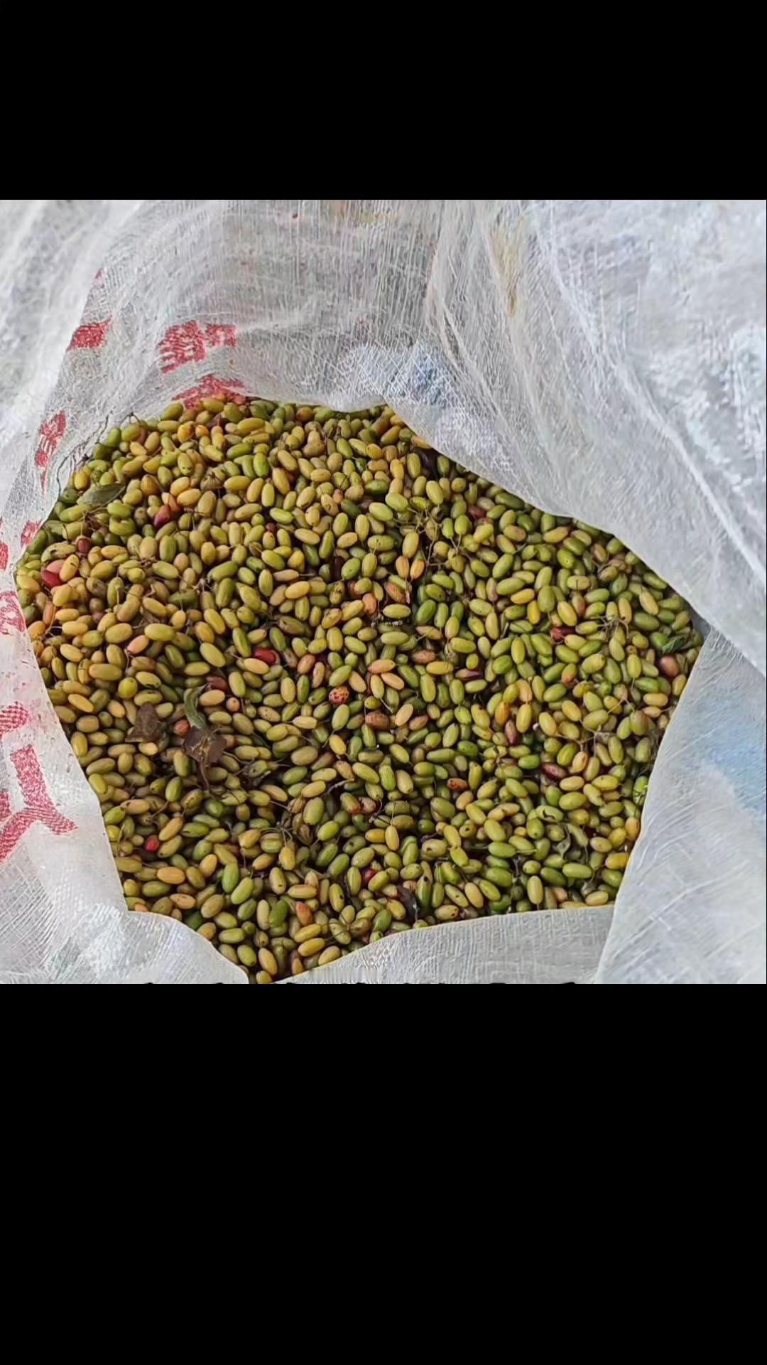 中药材囤货商集中抛货！
产新季，千万不要盲目抄底

康美·中国中药材价格指数，9