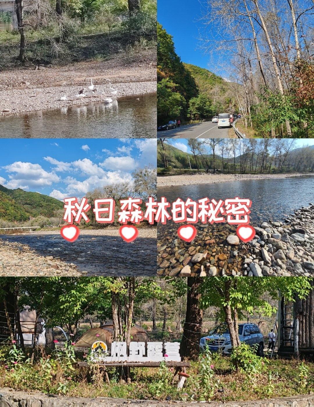 就在本溪这边，本桓高速直达[打call]
非常方便的一个露营地，就在碱厂镇这边[