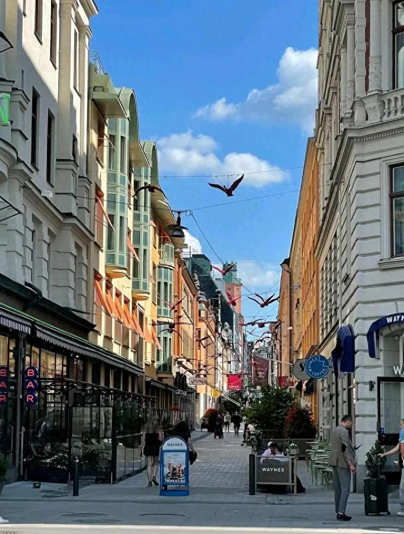 福利天堂的另一面：在瑞典的华人为何坦言“待不住”？高福利难抵文化孤寂与漫漫长夜，