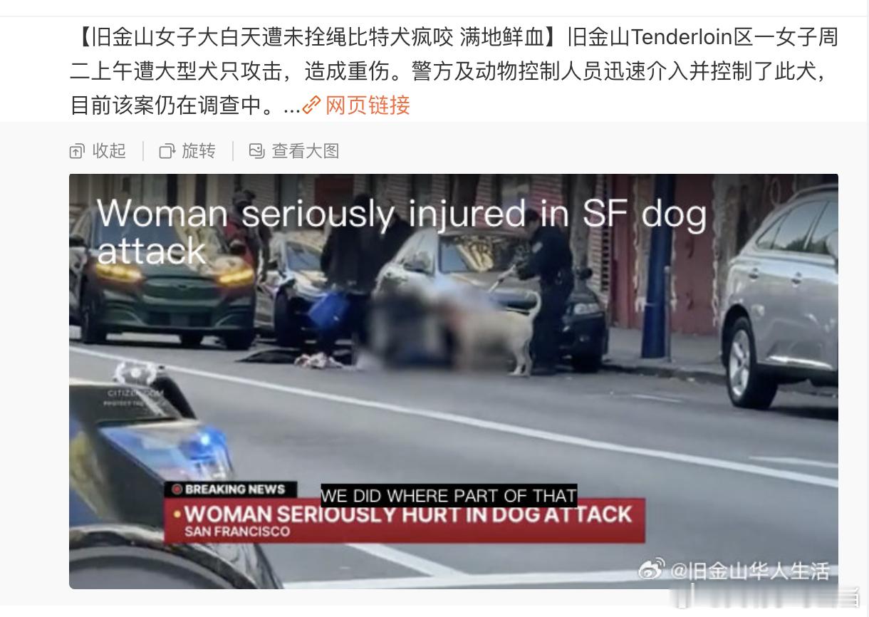 狗狗是人类的朋友，是家人，是伴侣，养狗的乐趣就在于此 ​​​