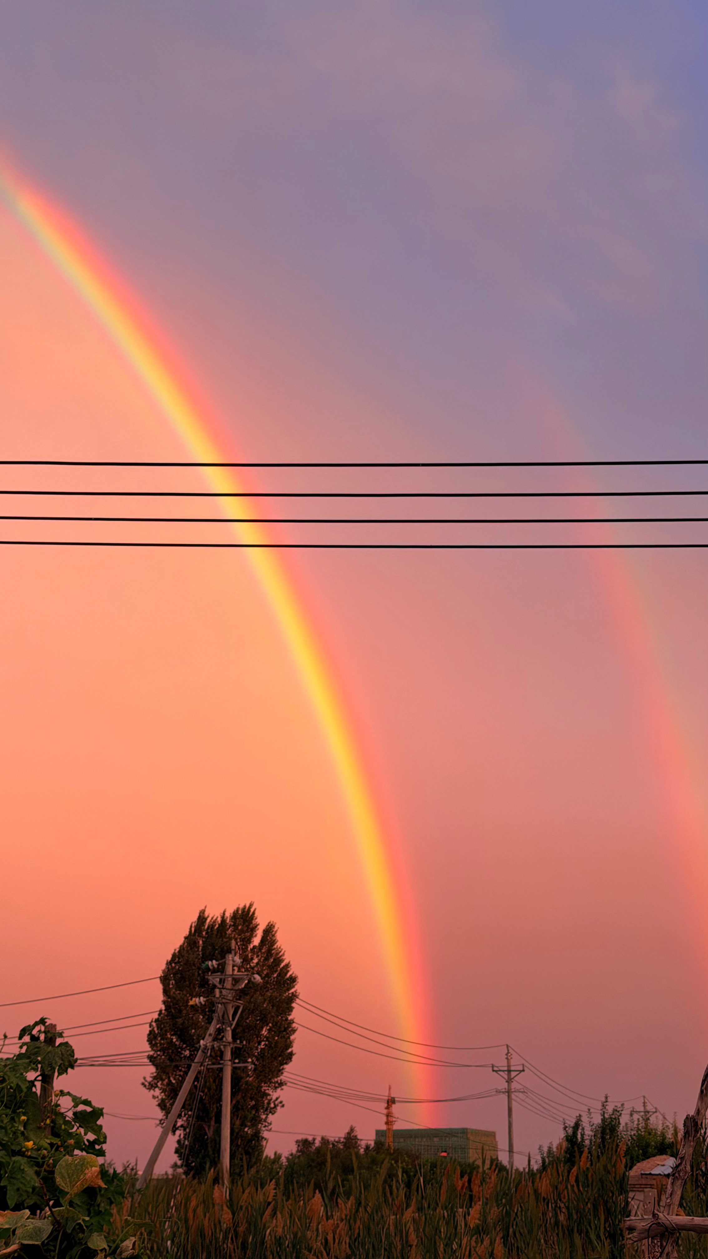 🌈 