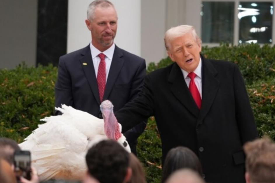 感恩节名场面！特朗普推翻拜登火鸡赦免令：自动签名笔签的不算数
 
11月25日，