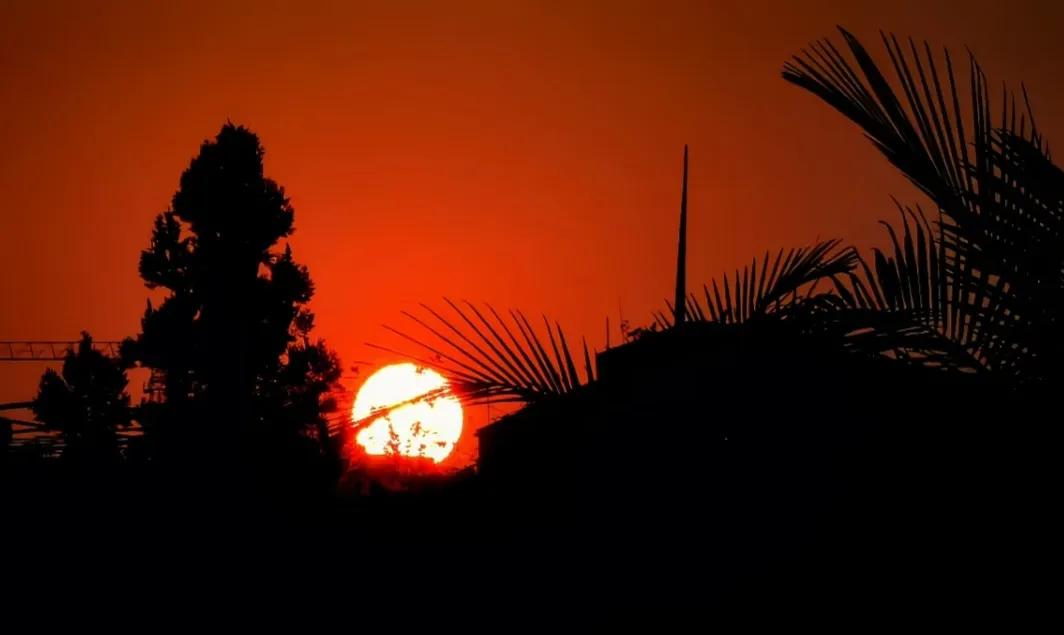 晨观日出，暮赏夕阳。旭日东升，树影婆娑，静谧而美丽又不失浪漫，凡是过往，皆为序章