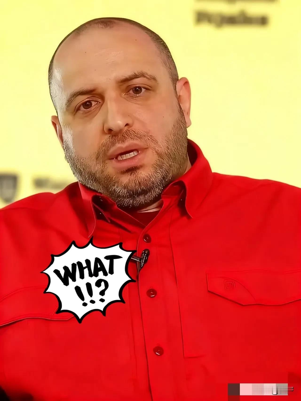 11月22日，乌克兰国家安全与国防委员会秘书乌梅罗夫在基辅宣布，结束俄乌冲突的任