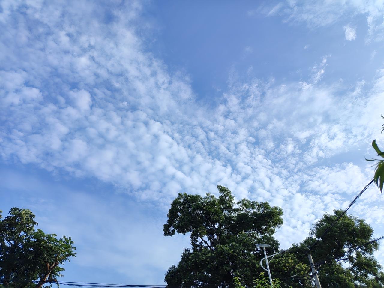 晒图笔记大赛不必追赶时间的脚步，只需在每一个清晨，认真感受露珠滑落叶尖的清凉，那
