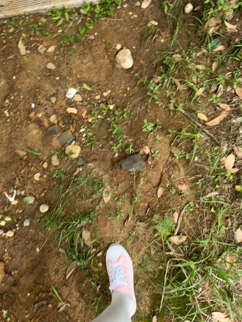 ……服了 大老远跑山里来受罪但因为同行的人是我 就算是喂蚊子就是很幸福的呢  ​