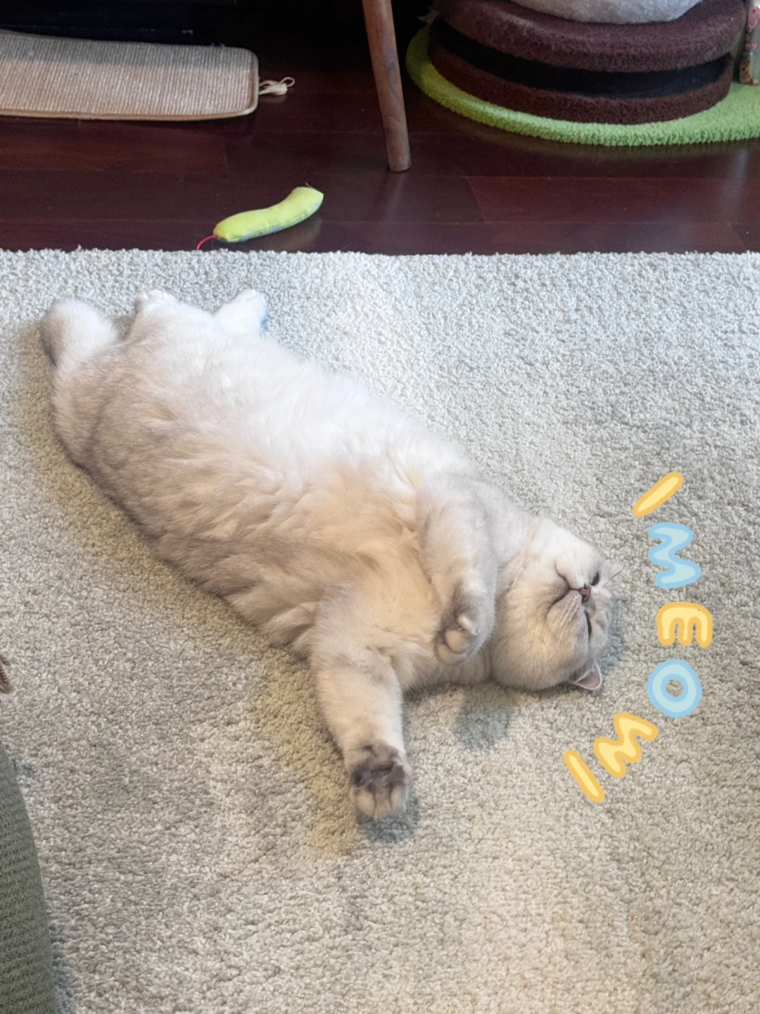 若🌙还没来，希望大家都开心起来
