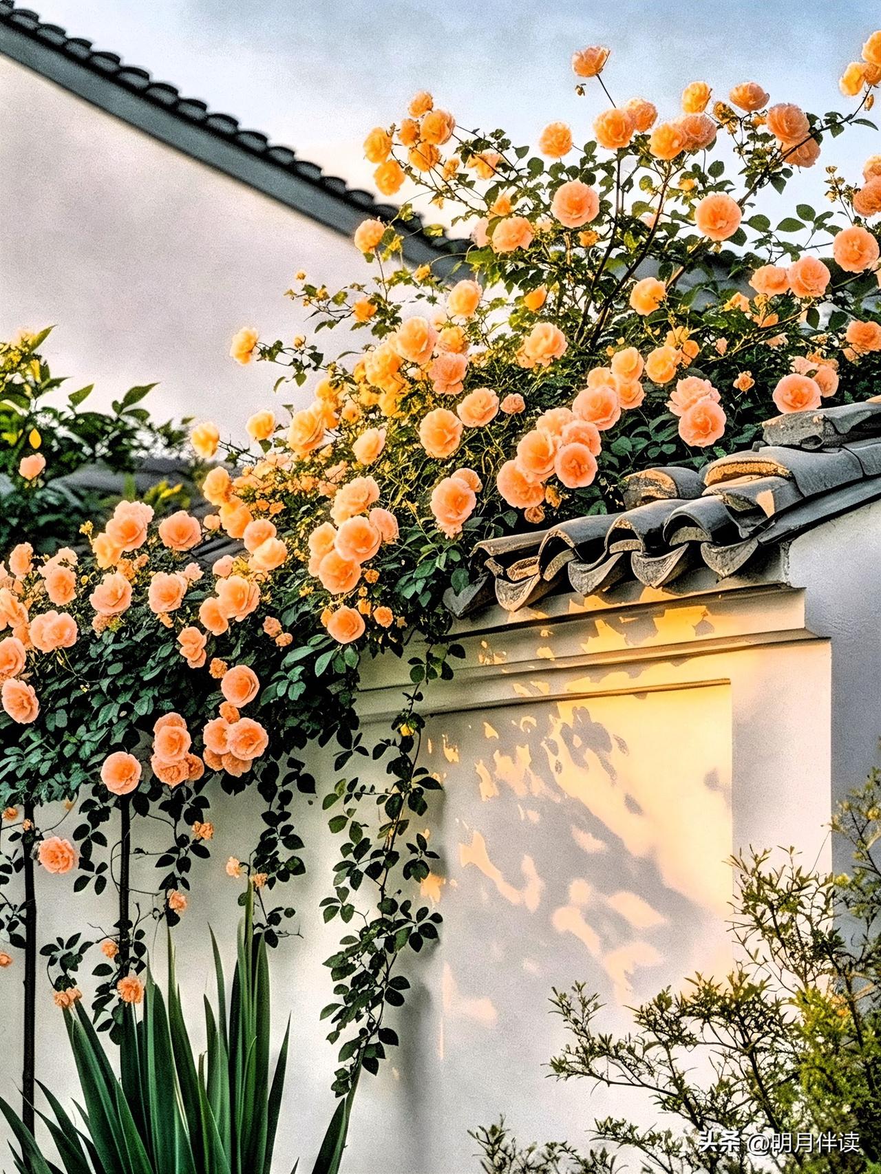 著名作家语出惊人：

"退休后，没人请客，没人联系，

不是你人缘差，也不是人情