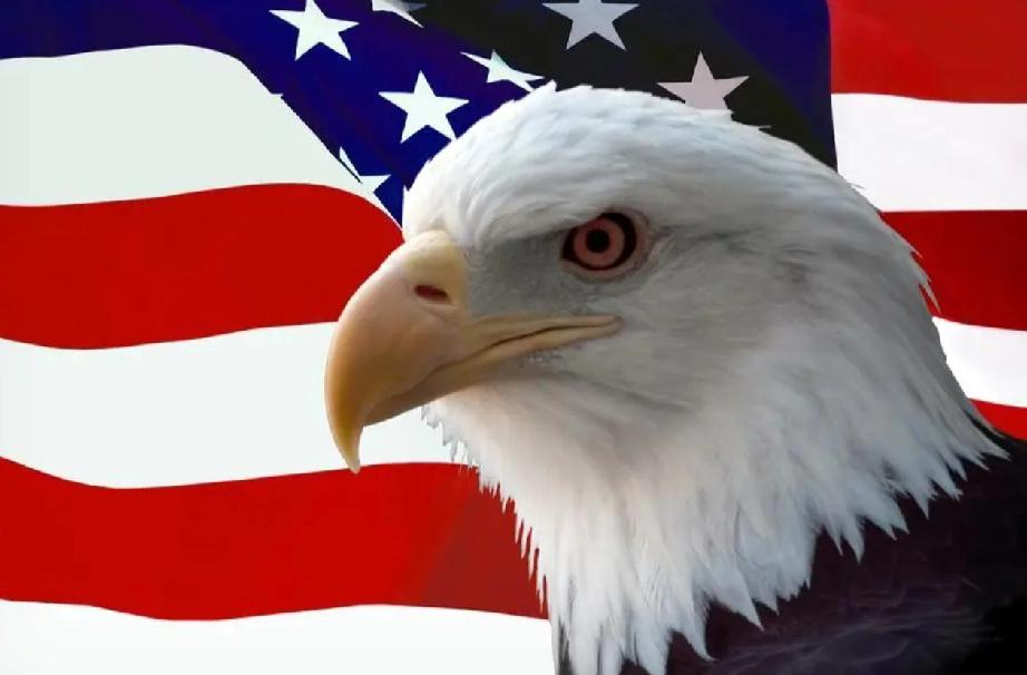 美国又要启动301条款了

美国对包括中国、欧盟、印度等十六国在内的合作伙伴启动