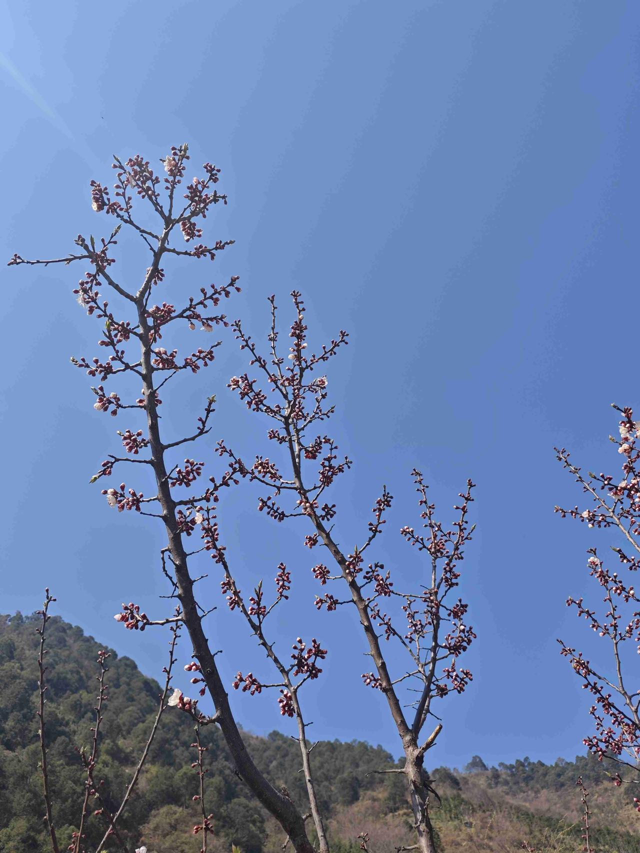 我的今日状态：💰期待暴富
我这里的天气：🌤️多云