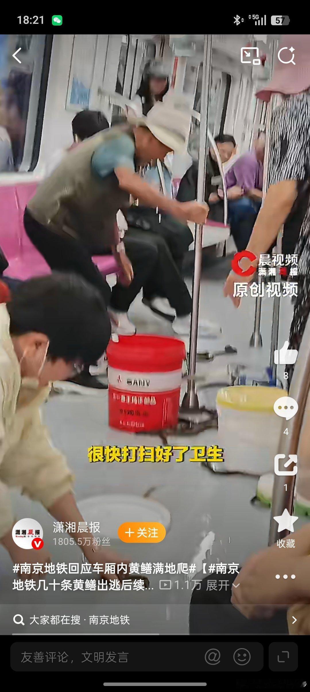 南京地铁回应车厢内黄鳝满地爬这个黄鳝别说是年轻人。很多中年人也不敢上去捡，因为黄