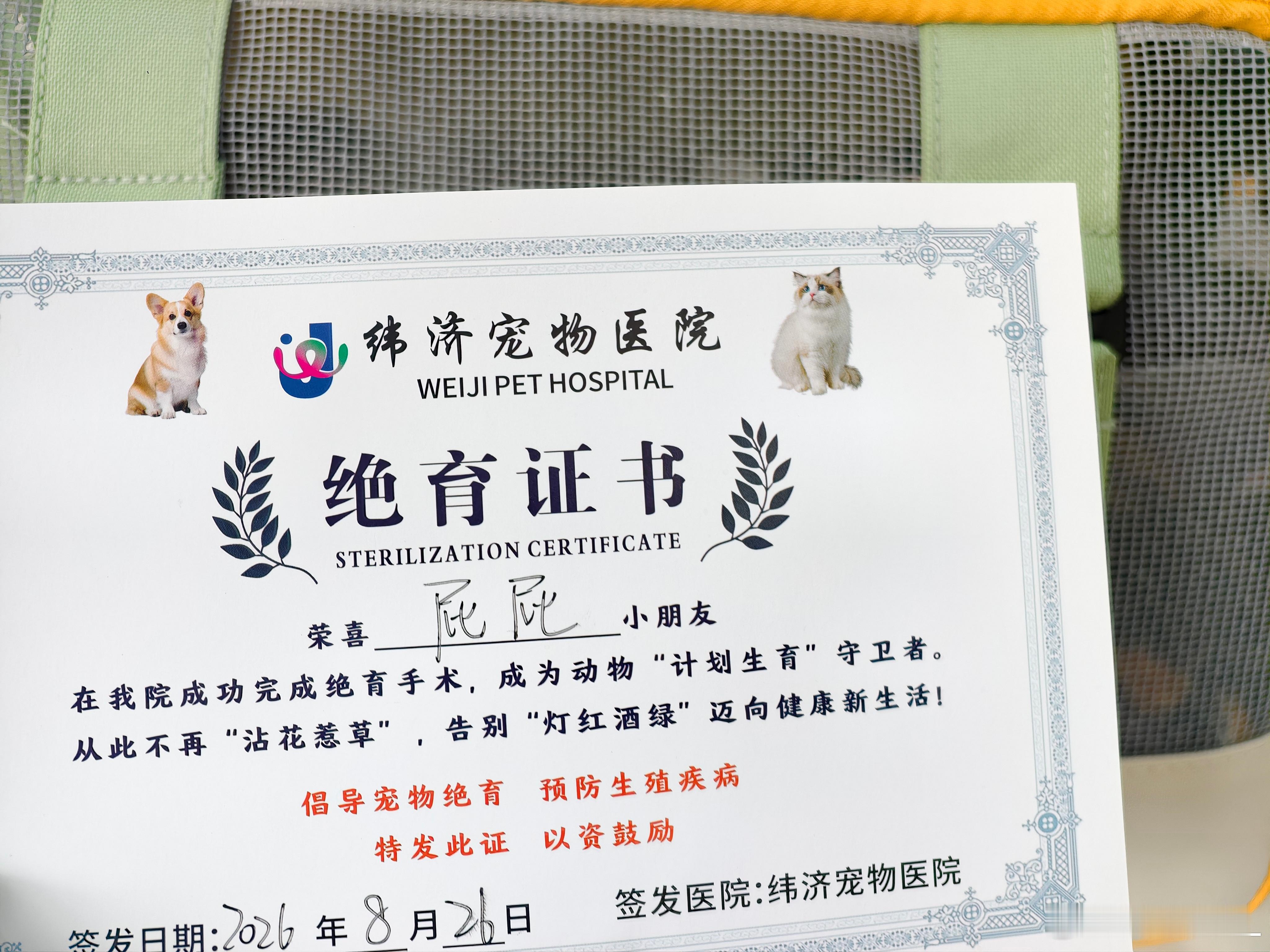 某人就是 PUA高手，无时无刻不在打压人！！他自己走错路，我跟着他的方向走，转头