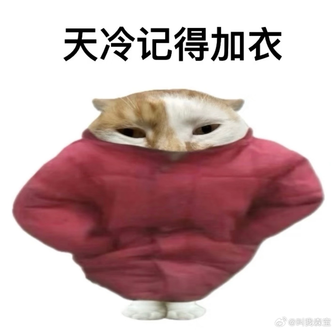 淘宝付尾款拿什么凑单好 双11付尾款最真实的感受就是，付款前觉得自己赚麻了，付款