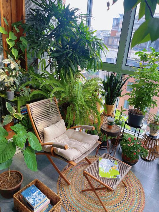 9m²小森林｜7张图来了解我家阳台布置和植物