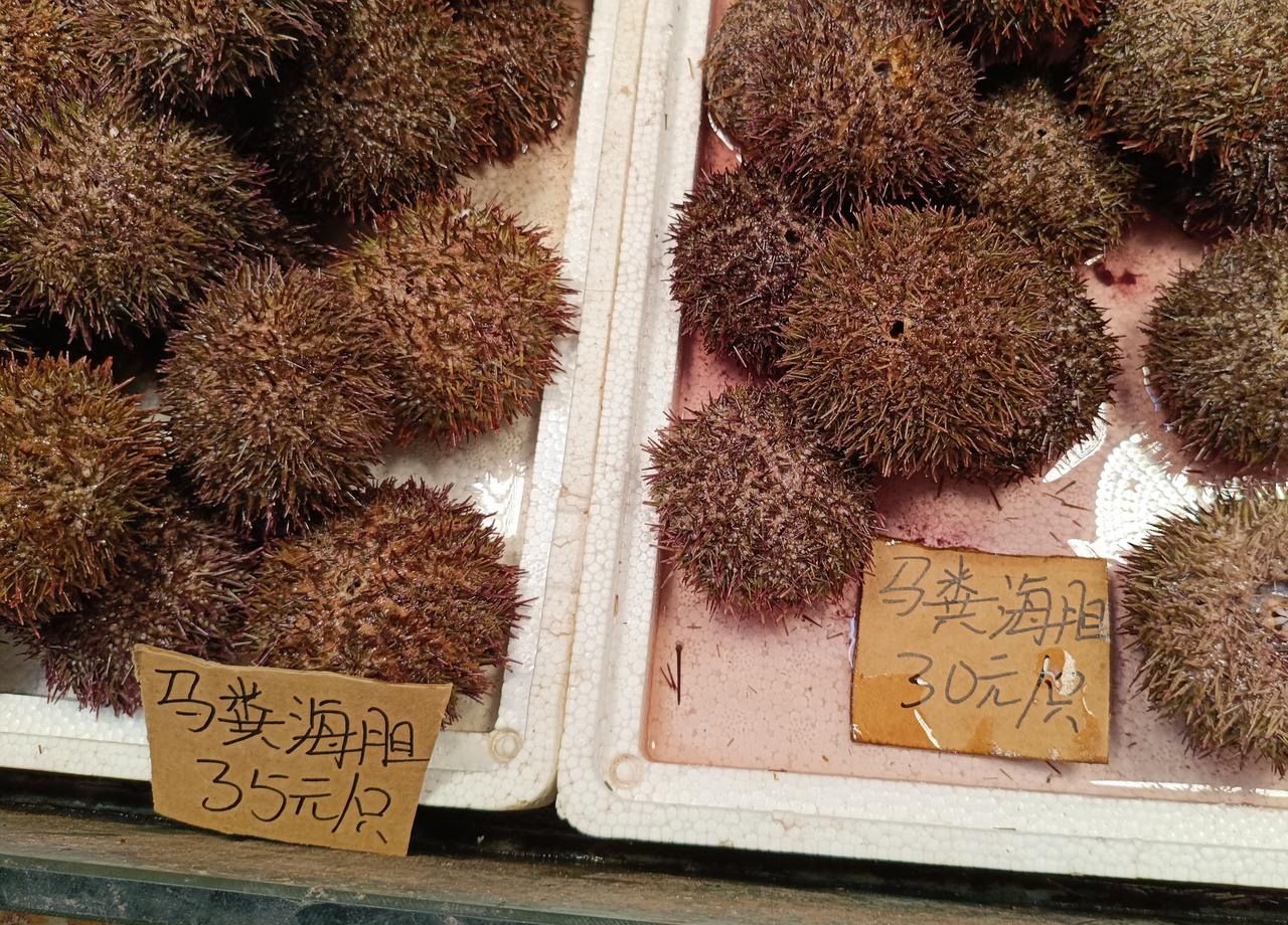今天海泊河水产市场在青岛的名气很大，这里的海产品价格实惠种类繁多。

    青