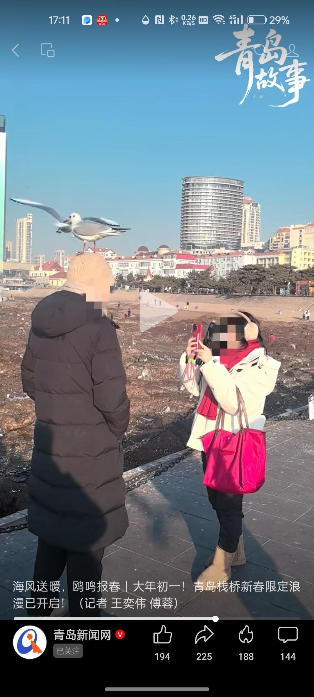 大年初一青岛栈桥喂海鸥，享受大自然的乐趣！