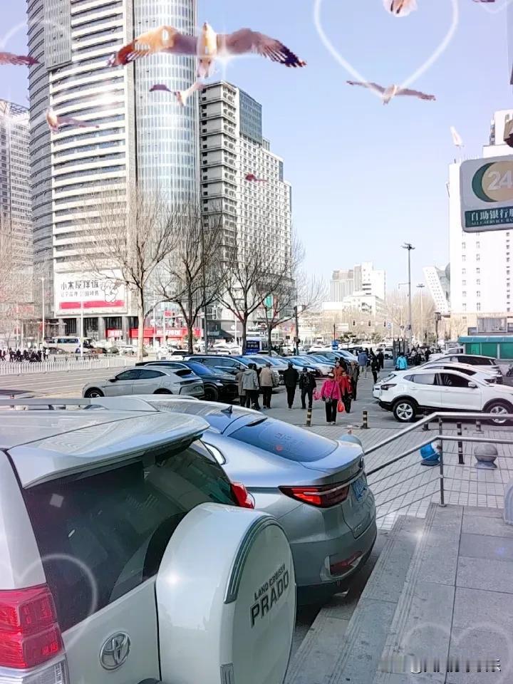 春日生活打卡季