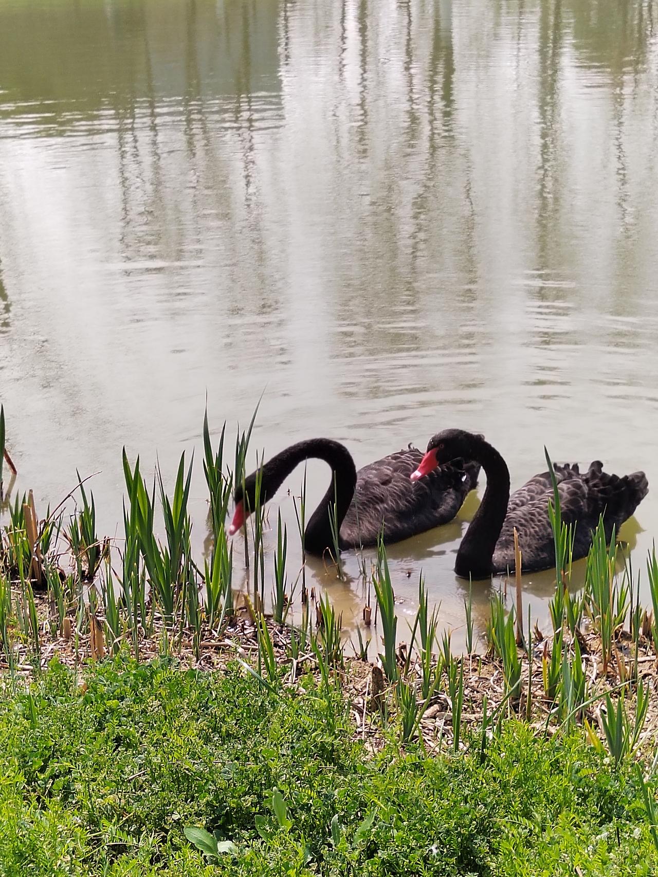 【趣联联趣】
上联：清娱百岁终无梦
下联：？
【一字千金】
《栈桥思》
遥想卧冰