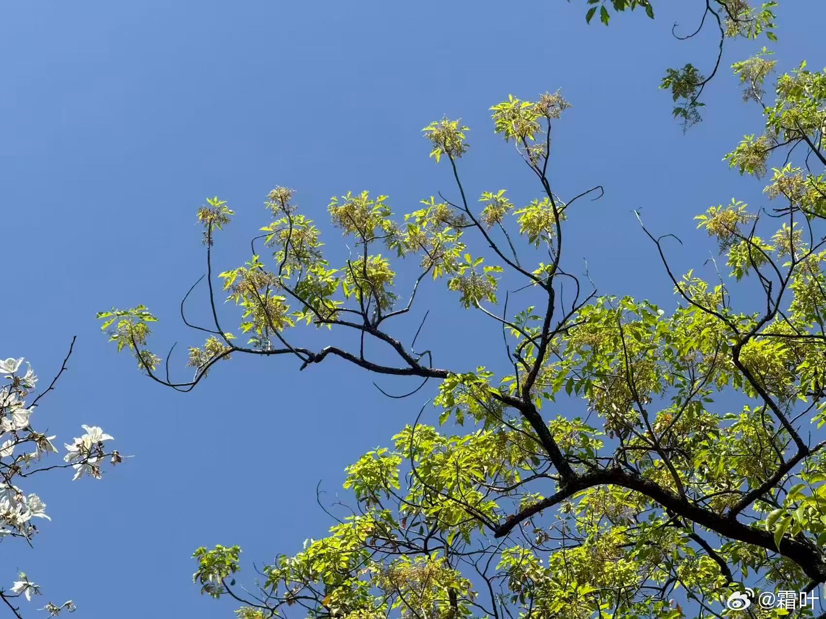 加一箱油800多一点，看看能跑几天
