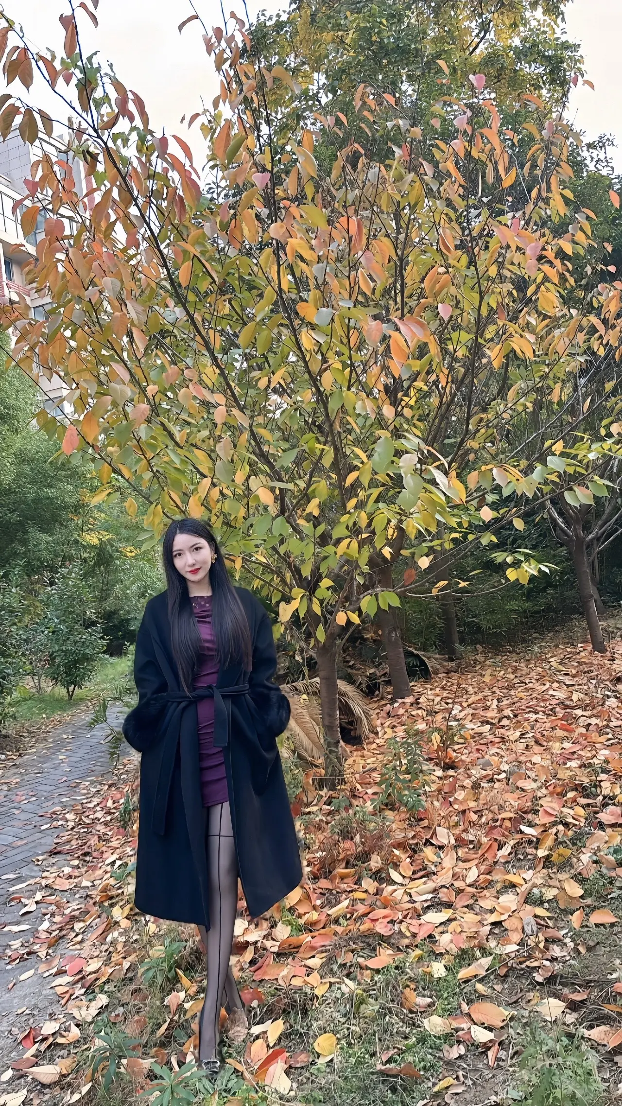 每一个无爱战士 曾经都是一个多情的种子
