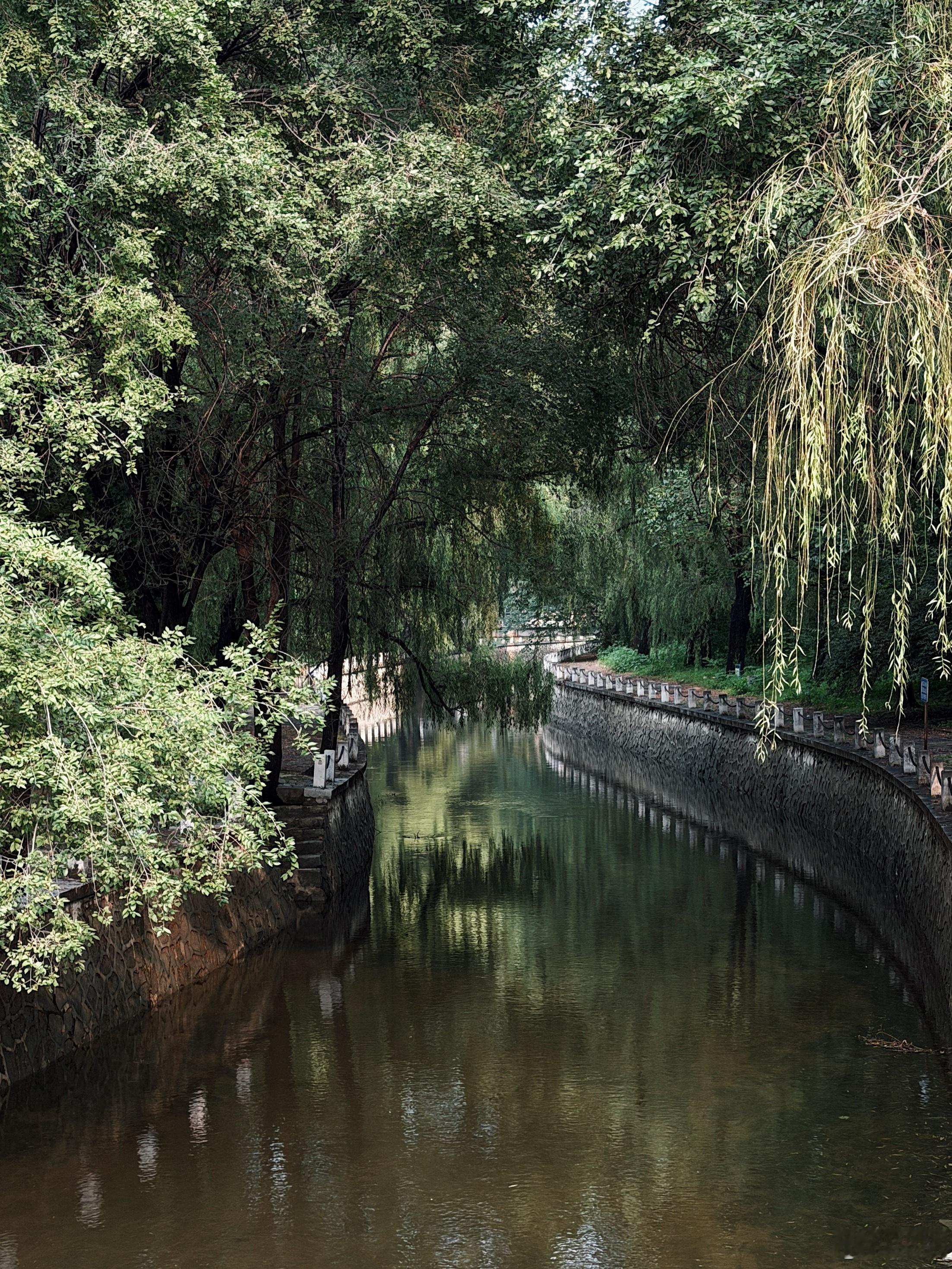 朝阳公园里面的复古游乐设施，感觉像是回到了小学春游。雨后湿度爆棚，我们狠狠吸氧并