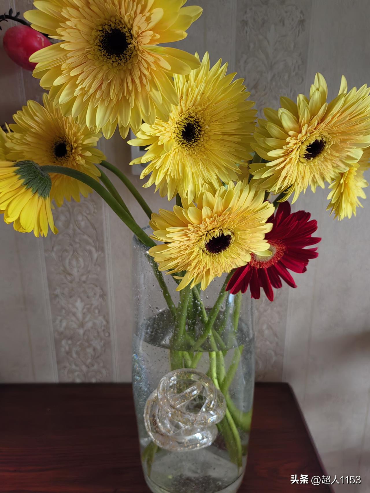 昨天女儿下班进家就给我带来了惊喜，买了一束花送给了我。

女儿说我这几天一直在医