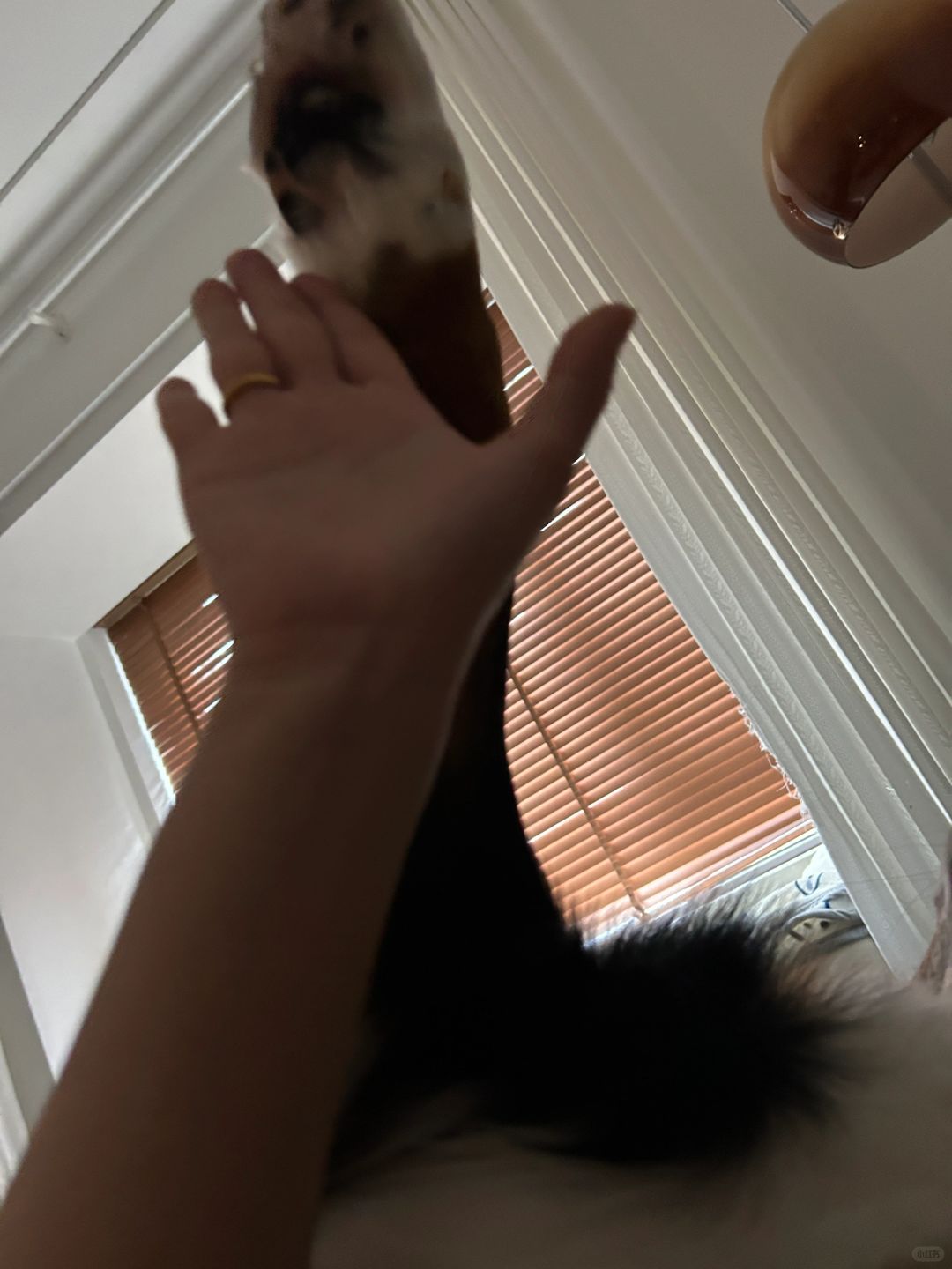 Morning，击掌过大年！