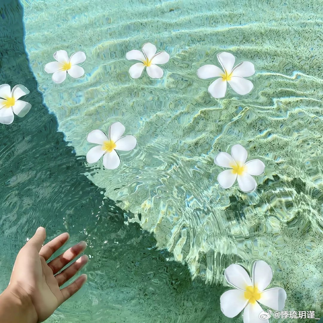 属性:  白鹿  张真源 ❤️           🦋            