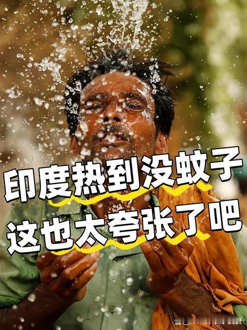 印度还适合人类居住吗？这也太热了


全球50个最热城市齐聚印度，极端高温敲响人