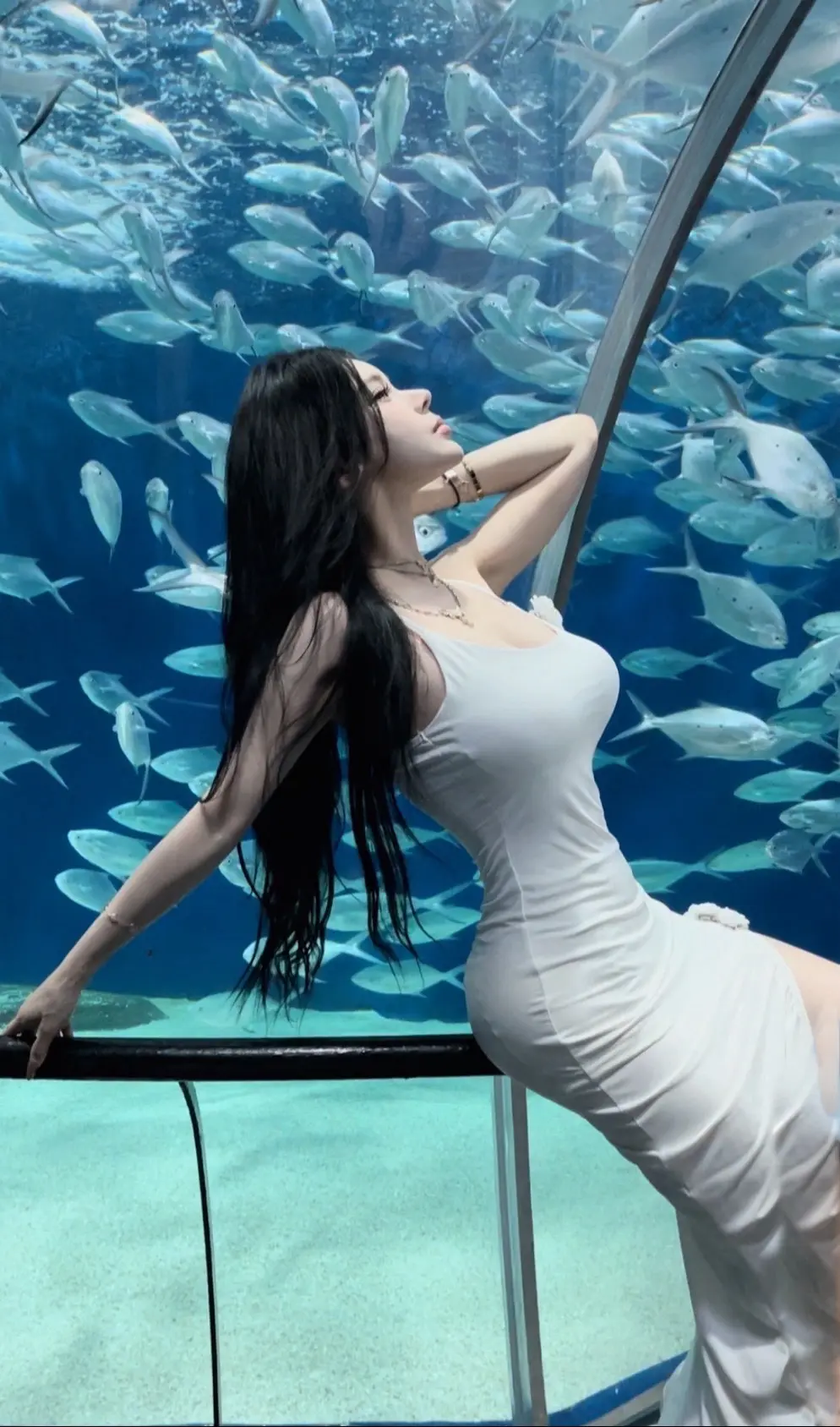 你我都是这鱼缸里的鱼