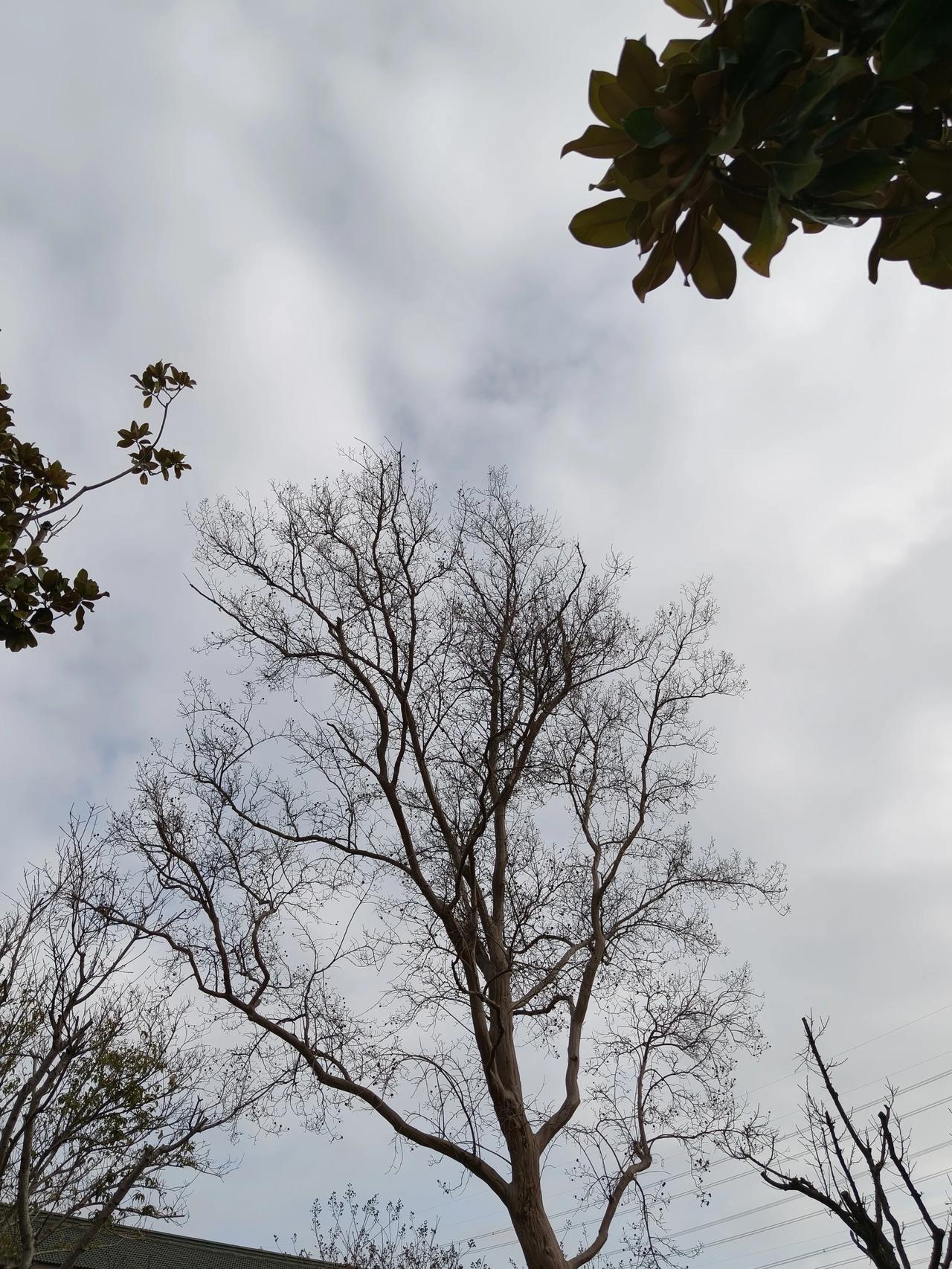 今天终于把婆婆的身后事妥善处理好了！入土为安，心里的石头也终于落了地。

自从去