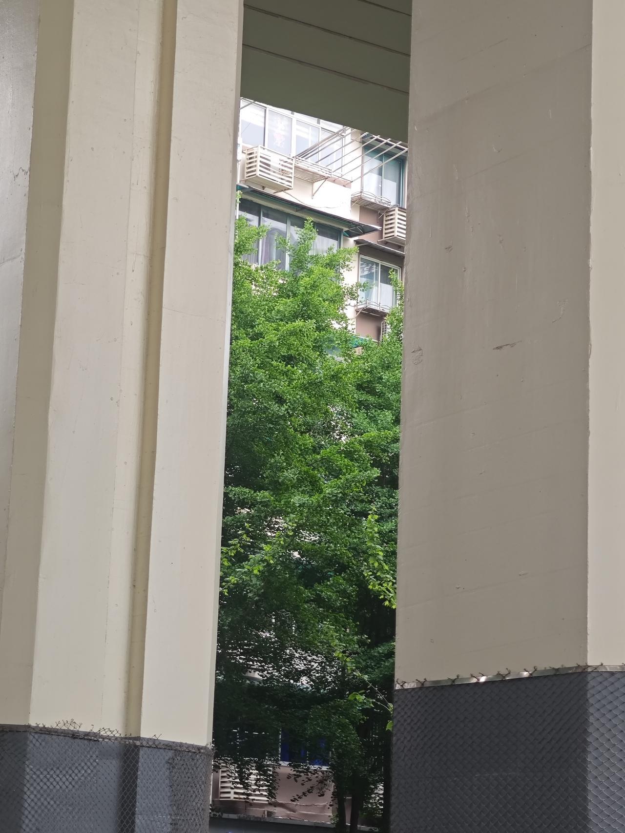 我认为会，因为人工智能越来越发达越来越聪明，机器人代替人类是必然趋势。现在的机器
