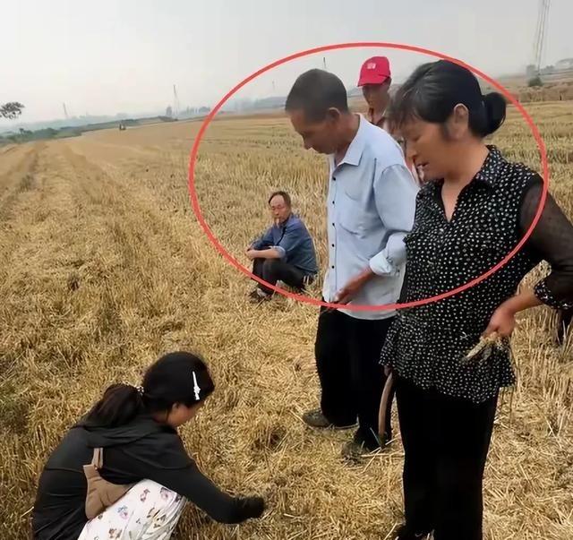 河南一对05后小夫妻去湖北襄阳帮忙收麦子，结果遇上了离大谱的“割四赔五”。
本来