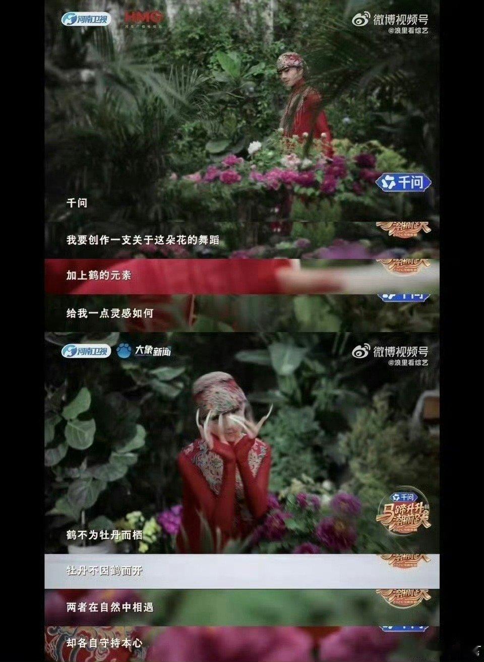 杨丽萍67岁仍在学习AI 67岁杨丽萍终身学习，携手千问探索AI与舞蹈融合，以科